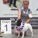Gzhel' iz Veseloi Semeiki