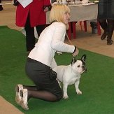 Gzhel' iz Veseloi Semeiki