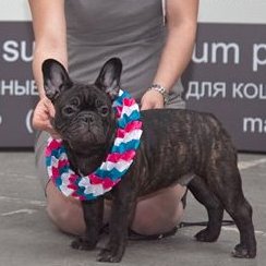 Kaizer Franz Iz Veseloi Semeiki