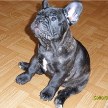 Kaizer Franz Iz Veseloi Semeiki
