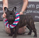 Kaizer Franz Iz Veseloi Semeiki